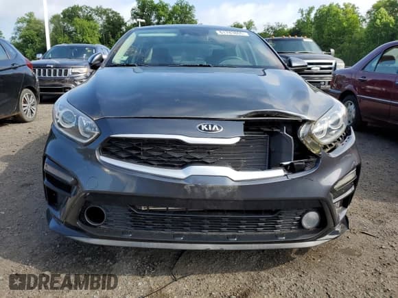 ✅ 2019 Kia Forte LXS • VIN: 3KPF24AD5KE124689 • Lot: 61783865. Listed on Copart with 23,693 mi. Free auction sales archive from the USA and detailed vehicle history report at DreamBid. Image 5.