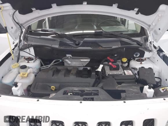 ✅ 2017 Jeep Patriot High Altitude • VIN: 1C4NJRFB3HD162659 • Lot: 42723746. Listed on IAAI with 81,208 mi. Free auction sales archive from the USA and detailed vehicle history report at DreamBid. Image 10.