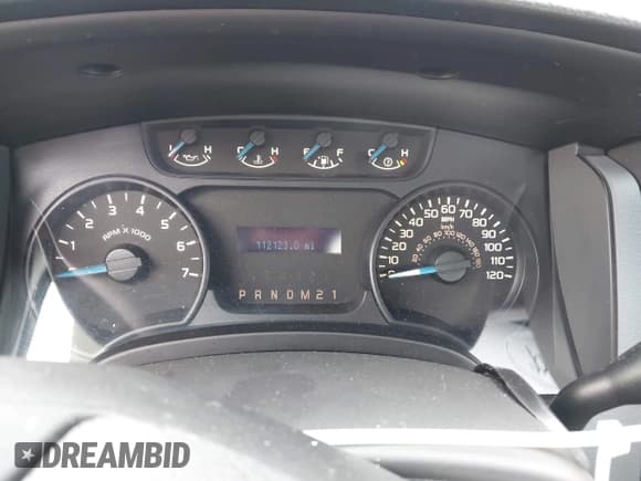 ✅ 2014 Ford F-150 XL • VIN: 1FTMF1CM9EKG29904 • Lot: 43773045. Wystawiony na IAAI z przebiegiem 112 123 mil. Bezpłatny archiwum sprzedaży aukcyjnych z USA i szczegółowy raport historii pojazdu na DreamBid. Zdjęcie 7.