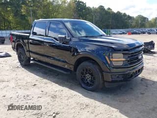 ✅ 2024 Ford F-150 XLT • VIN: 1FTFW3L82RKD24208 • Lot: 43390399. Wystawiony na IAAI z przebiegiem 17 777 mil. Bezpłatny archiwum sprzedaży aukcyjnych z USA i szczegółowy raport historii pojazdu na DreamBid. Zdjęcie 1.
