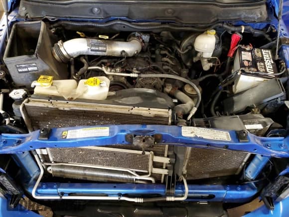 ✅ 2008 Dodge 1500 SLT • VIN: 1D7HU18N88J198903 • Лот: 72443224. Опубликован ранее на Copart с пробегом 113 386 миль. Бесплатный доступ к архиву аукционных продаж из США и подробный отчёт об истории автомобиля на DreamBid. Изображение 11.