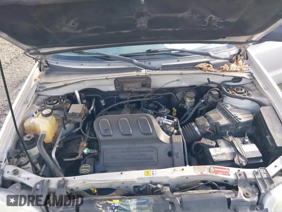 ✅ 2003 Ford Escape XLT Popular 2 • VIN: 1FMCU93113KA90810 • Лот: 43621023. Опубликован ранее на IAAI с пробегом 99 315 миль. Бесплатный доступ к архиву аукционных продаж из США и подробный отчёт об истории автомобиля на DreamBid. Изображение 10.