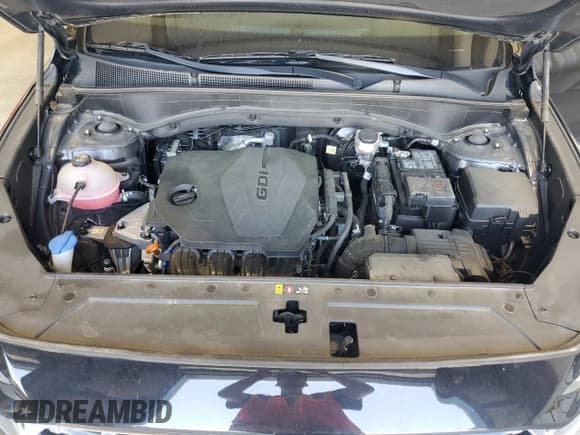 ✅ 2021 Hyundai Santa Fe SEL • VIN: 5NMS24AJ4MH324513 • Lot: 47757884. Wystawiony na Copart z przebiegiem 51 371 mil. Bezpłatny archiwum sprzedaży aukcyjnych z USA i szczegółowy raport historii pojazdu na DreamBid. Zdjęcie 12.