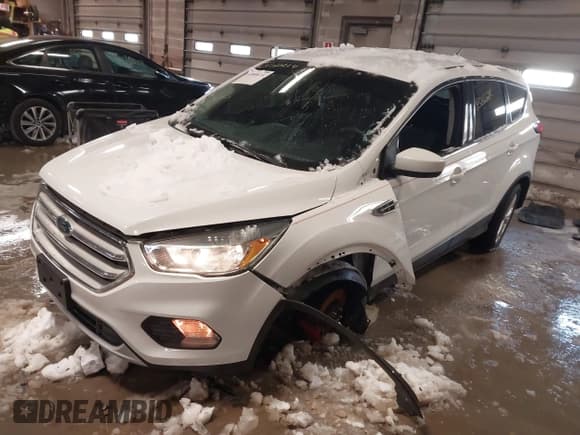 ✅ 2019 Ford Escape SE • VIN: 1FMCU9GD4KUC48001 • Lot: 43860214. Wystawiony na IAAI z przebiegiem 244 371 mil. Bezpłatny archiwum sprzedaży aukcyjnych z USA i szczegółowy raport historii pojazdu na DreamBid. Zdjęcie 2.