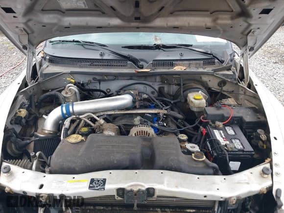 ✅ 2002 Dodge Dakota SLT • VIN: 1B7HL48N92S522859 • Lot: 43391019. Listed on IAAI with 242,154 mi. Free auction sales archive from the USA and detailed vehicle history report at DreamBid. Image 10.