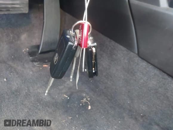 ✅ 2014 Acura TSX • VIN: JH4CU2F45EC003777 • Lot: 43514782. Wystawiony na IAAI z przebiegiem 115 080 mil. Bezpłatny archiwum sprzedaży aukcyjnych z USA i szczegółowy raport historii pojazdu na DreamBid. Zdjęcie 11.