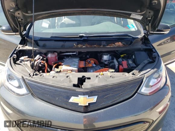 ✅ 2020 Chevrolet Bolt EV LT • VIN: 1G1FY6S08L4122968 • Lot: 56821334. Wystawiony na Copart z przebiegiem 45 081 mil. Bezpłatny archiwum sprzedaży aukcyjnych z USA i szczegółowy raport historii pojazdu na DreamBid. Zdjęcie 13.