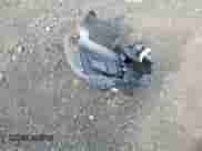 2012 MINI Hardtop with VIN WMWSU3C53CT260060, listed as a Copart auction lot 63656395 with 100,537 mi miles and Clean title. Bid and sale history available at DreamBid. Image 12.