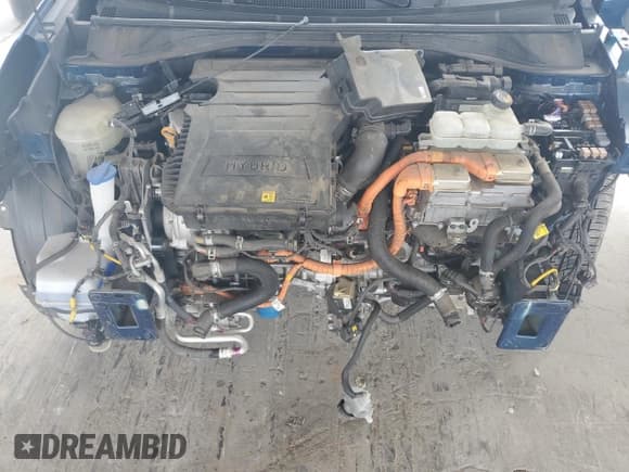 ✅ 2019 Kia Niro EX • VIN: KNDCC3LCXK5353198 • Lot: 80799495. Listed on Copart with 121,518 mi. Free auction sales archive from the USA and detailed vehicle history report at DreamBid. Image 11.