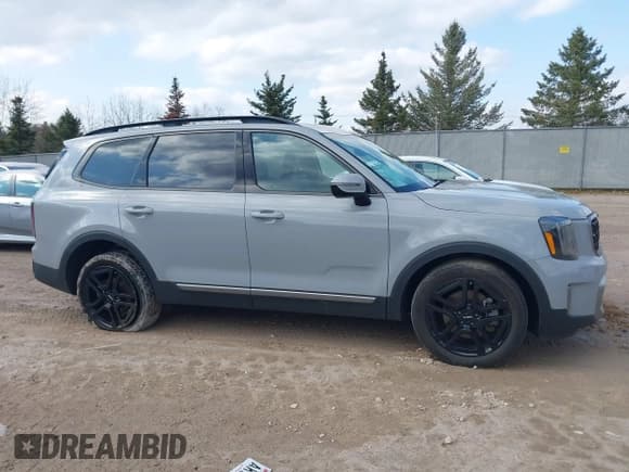 ✅ 2023 Kia Telluride SX • VIN: 5XYP5DGC2PG400265 • Lot: 42100237. Wystawiony na IAAI z przebiegiem 44 544 mil. Bezpłatny archiwum sprzedaży aukcyjnych z USA i szczegółowy raport historii pojazdu na DreamBid. Zdjęcie 13.
