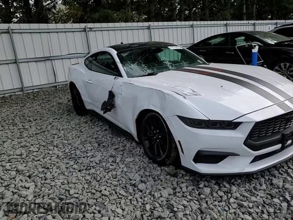 ✅ 2024 Ford Mustang EcoBoost • VIN: 1FA6P8THXR5147082 • Лот: 83756265. Опубликован ранее на Copart с пробегом 5 938 миль. Бесплатный доступ к архиву аукционных продаж из США и подробный отчёт об истории автомобиля на DreamBid. Изображение 13.
