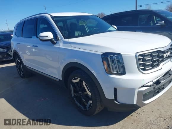 ✅ 2023 Kia Telluride S • VIN: 5XYP6DGCXPG347098 • Lot: 41785572. Listed on IAAI with 20,821 mi. Free auction sales archive from the USA and detailed vehicle history report at DreamBid. Image 13.