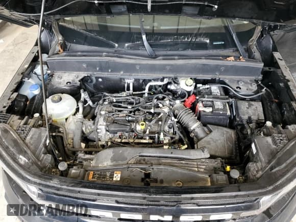 ✅ 2024 Ford Bronco Sport Outer Banks • VIN: 3FMCR9C62RRE63497 • Lot: 93107265. Wystawiony na Copart z przebiegiem 27 283 mil. Bezpłatny archiwum sprzedaży aukcyjnych z USA i szczegółowy raport historii pojazdu na DreamBid. Zdjęcie 12.