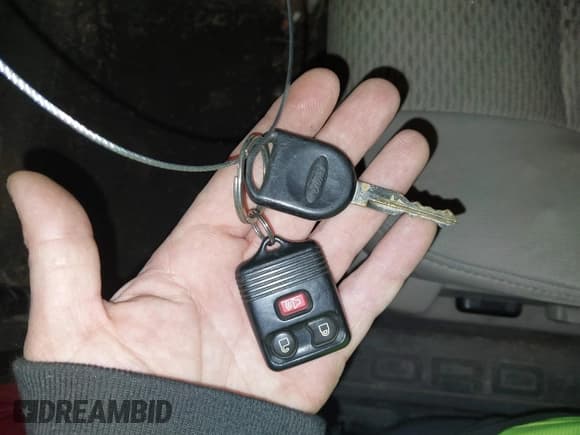 ✅ 2010 Ford F-150 XL • VIN: 1FTFW1EVXAFB66303 • Lot: 43692909. Listed on IAAI with 320,688 mi. Free auction sales archive from the USA and detailed vehicle history report at DreamBid. Image 11.