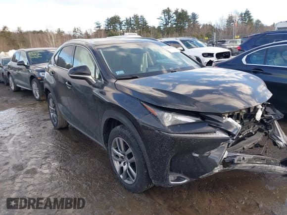 ✅ 2015 Lexus NX 200t • VIN: JTJBARBZ1F2024114 • Лот: 41669153. Опубликован ранее на IAAI с пробегом 147 764 миль. Бесплатный доступ к архиву аукционных продаж из США и подробный отчёт об истории автомобиля на DreamBid. Изображение 13.