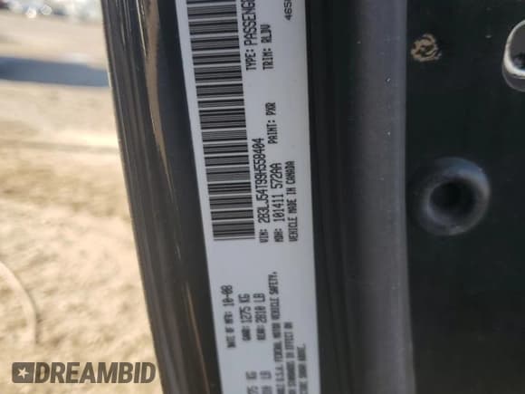 ✅ 2009 Dodge Challenger R/T • VIN: 2B3LJ54T99H558404 • Lot: 83157364. Wystawiony na Copart z przebiegiem Nie podano. Bezpłatny archiwum sprzedaży aukcyjnych z USA i szczegółowy raport historii pojazdu na DreamBid. Zdjęcie 13.