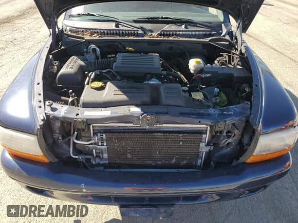 ✅ 2001 Dodge Dakota Sport • VIN: 1B7GG22N91S109111 • Lot: 48365845. Wystawiony na Copart z przebiegiem Nie podano. Bezpłatny archiwum sprzedaży aukcyjnych z USA i szczegółowy raport historii pojazdu na DreamBid. Zdjęcie 11.