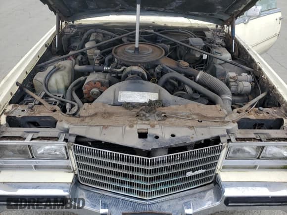 ✅ 1984 Cadillac Eldorado • VIN: 1G6AL5784EE673617 • Lot: 50650305. Listed on Copart with 21,482 mi. Free auction sales archive from the USA and detailed vehicle history report at DreamBid. Image 11.