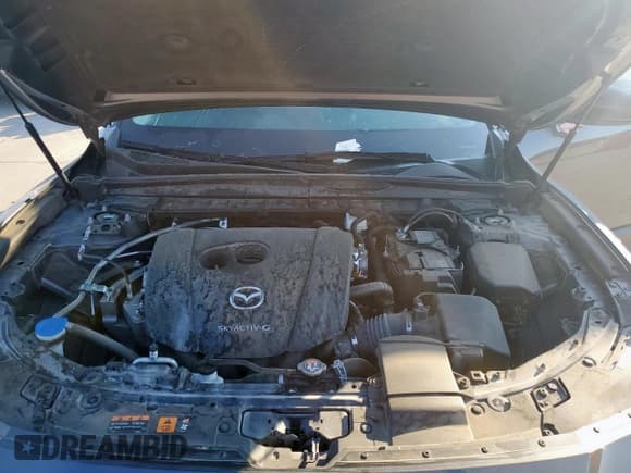 ✅ 2024 Mazda CX-50 S Premium • VIN: 7MMVABDM3RN186063 • Lot: 84457715. Listed on Copart with 39,454 mi. Free auction sales archive from the USA and detailed vehicle history report at DreamBid. Image 12.