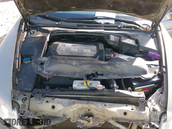 ✅ 2008 Acura TL • VIN: 19UUA66268A043923 • Lot: 41463558. Listed on IAAI with 325,608 mi. Free auction sales archive from the USA and detailed vehicle history report at DreamBid. Image 10.