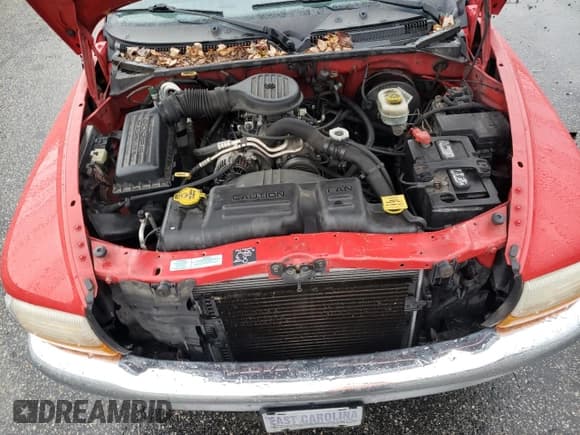 ✅ 2000 Dodge Dakota • VIN: 1B7GL22X8YS764710 • Lot: 81248524. Wystawiony na Copart z przebiegiem 134 137 mil. Bezpłatny archiwum sprzedaży aukcyjnych z USA i szczegółowy raport historii pojazdu na DreamBid. Zdjęcie 11.