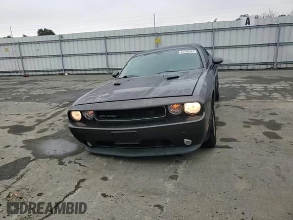 ✅ 2014 Dodge Challenger SXT 100th Anniversary • VIN: 2C3CDYAG9EH153155 • Lot: 85796844. Wystawiony na Copart z przebiegiem 124 262 mil. Bezpłatny archiwum sprzedaży aukcyjnych z USA i szczegółowy raport historii pojazdu na DreamBid. Zdjęcie 12.