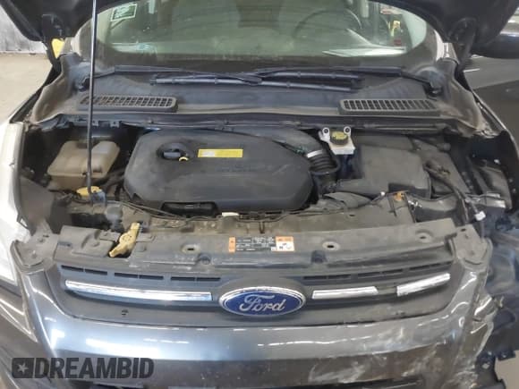 ✅ 2016 Ford Escape SE • VIN: 1FMCU9GX8GUA11402 • Lot: 43423382. Wystawiony na IAAI z przebiegiem 138 427 mil. Bezpłatny archiwum sprzedaży aukcyjnych z USA i szczegółowy raport historii pojazdu na DreamBid. Zdjęcie 10.