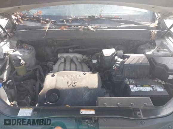 ✅ 2008 Hyundai Santa Fe GLS • VIN: 5NMSG13D68H203317 • Lot: 43727414. Listed on IAAI with Not provided. Free auction sales archive from the USA and detailed vehicle history report at DreamBid. Image 10.