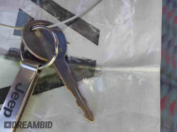 ✅ 1997 Jeep Wrangler Sahara • VIN: 1J4FY49S6VP503720 • Лот: 43625060. Опубликован ранее на IAAI с пробегом 246 160 миль. Бесплатный доступ к архиву аукционных продаж из США и подробный отчёт об истории автомобиля на DreamBid. Изображение 11.