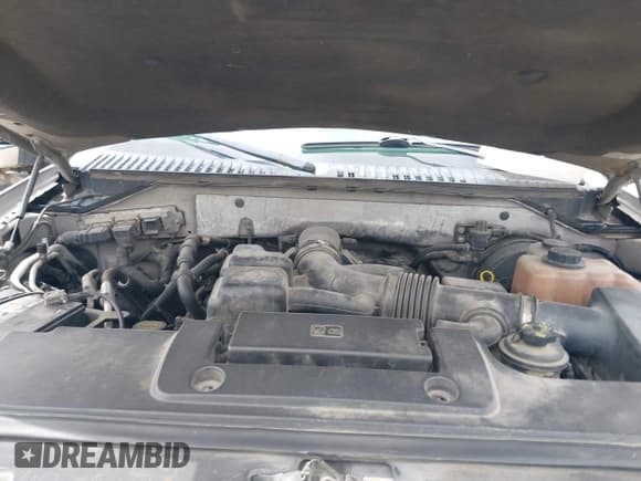 ✅ 2008 Ford Expedition Limited • VIN: 1FMFU19568LA31617 • Лот: 42058997. Опубликован ранее на IAAI с пробегом 223 692 миль. Бесплатный доступ к архиву аукционных продаж из США и подробный отчёт об истории автомобиля на DreamBid. Изображение 10.