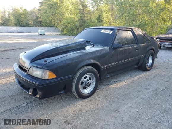 ✅ 1987 Ford Mustang • VIN: 1FABP41A1HF100528 • Lot: 70165235. Listed on Copart with Not provided. Free auction sales archive from the USA and detailed vehicle history report at DreamBid. Image 1.