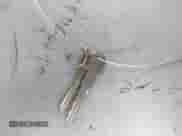 1995 Chevrolet Silverado 1500 z VIN 1GCEC14Z1SZ149169, wystawiony jako IAAI lot #43489391 z przebiegiem 196 119 mil mil oraz . Historia ofert i sprzedaży dostępna na DreamBid. Obrazek 11.