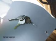 ✅ 1992 Ford Ranger • VIN: 1FTCR10A8NUC81059 • Лот: 42669945. Опубликован ранее на IAAI с пробегом 76 425 миль. Бесплатный доступ к архиву аукционных продаж из США и подробный отчёт об истории автомобиля на DreamBid. Изображение 11.