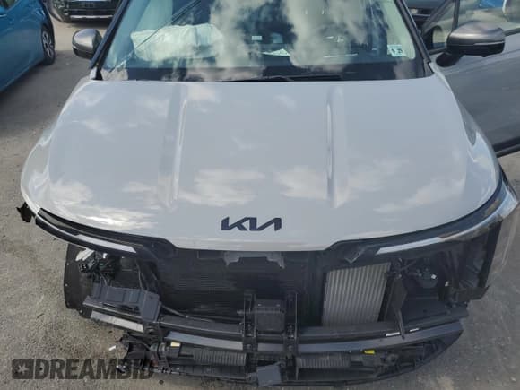 ✅ 2025 Kia Carnival SX Prestige • VIN: KNDNE5KA5S6030279 • Lot: 71822075. Wystawiony na Copart z przebiegiem 25 900 mil. Bezpłatny archiwum sprzedaży aukcyjnych z USA i szczegółowy raport historii pojazdu na DreamBid. Zdjęcie 12.