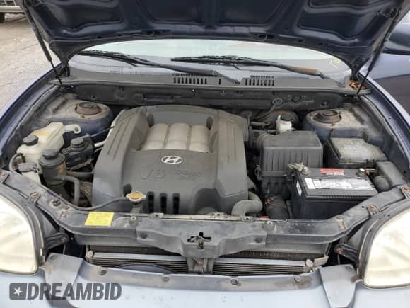 2004 Hyundai Santa Fe GLS z VIN KM8SC73DX4U770675, wystawiony jako Copart lot #70331224 z przebiegiem 134 785 mil mil oraz Czysty tytuł • Clean title. Historia ofert i sprzedaży dostępna na DreamBid. Obrazek 12.