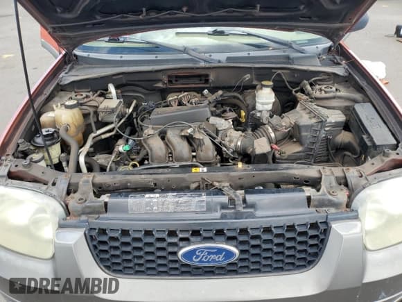 ✅ 2006 Ford Escape XLT • VIN: 1FMYU93176KC25038 • Lot: 80385575. Listed on Copart with Not provided. Free auction sales archive from the USA and detailed vehicle history report at DreamBid. Image 12.