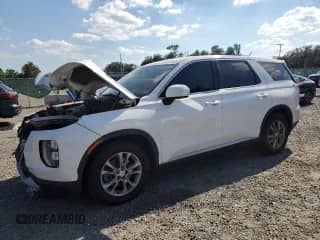 2020 Hyundai Palisade SE z VIN KM8R14HE8LU054540, wystawiony jako Copart lot #81491525 z przebiegiem 127 740 mil mil oraz Nie do naprawy • Non repairable. Historia ofert i sprzedaży dostępna na DreamBid. Obrazek 1.