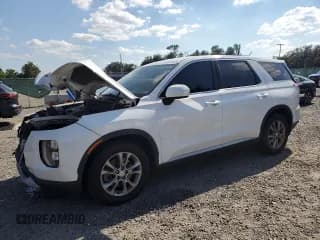 ✅ 2020 Hyundai Palisade SE • VIN: KM8R14HE8LU054540 • Лот: 81491525. Опубликован ранее на Copart с пробегом 127 740 миль. Бесплатный доступ к архиву аукционных продаж из США и подробный отчёт об истории автомобиля на DreamBid. Изображение 1.
