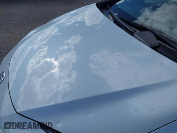 2024 Toyota Prius LE с VIN JTDACAAU3R3030785, выставлен на аукционе IAAI как лот 43417913 с пробегом 62 646 миль миль и . История ставок и продаж доступна на DreamBid. Изображение 6.