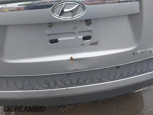 ✅ 2008 Hyundai Veracruz GLS • VIN: KM8NU73C28U074688 • Lot: 41980498. Listed on IAAI with 204,848 mi. Free auction sales archive from the USA and detailed vehicle history report at DreamBid. Image 6.