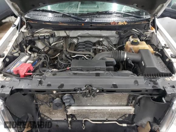 ✅ 2013 Ford F-150 XL • VIN: 1FTVX1EF3DKE05655 • Lot: 84272364. Wystawiony na Copart z przebiegiem 306 802 mil. Bezpłatny archiwum sprzedaży aukcyjnych z USA i szczegółowy raport historii pojazdu na DreamBid. Zdjęcie 11.