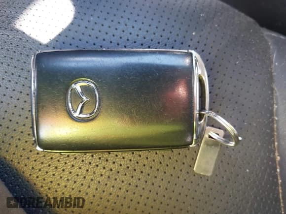 ✅ 2020 Mazda CX-9 Touring • VIN: JM3TCACY1L0423712 • Lot: 43384085. Wystawiony na IAAI z przebiegiem 47 215 mil. Bezpłatny archiwum sprzedaży aukcyjnych z USA i szczegółowy raport historii pojazdu na DreamBid. Zdjęcie 11.