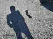 2019 Chevrolet Blazer with VIN 3GNKBBRA6KS689281, listed as a Copart auction lot 80745525 with 85,328 mi miles and Non repairable. Bid and sale history available at DreamBid. Image 12.