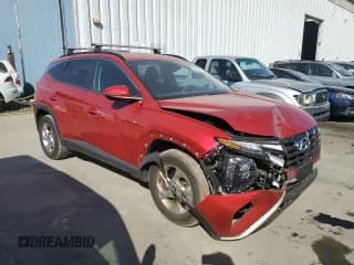✅ 2023 Hyundai Tucson SEL • VIN: 5NMJBCAE8PH229336 • Lot: 77848874. Wystawiony na Copart z przebiegiem 7 426 mil. Bezpłatny archiwum sprzedaży aukcyjnych z USA i szczegółowy raport historii pojazdu na DreamBid. Zdjęcie 4.