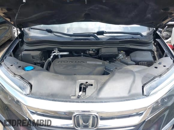 ✅ 2019 Honda Pilot EX-L • VIN: 5FNYF6H50KB030446 • Лот: 42797678. Опубликован ранее на IAAI с пробегом 71 345 миль. Бесплатный доступ к архиву аукционных продаж из США и подробный отчёт об истории автомобиля на DreamBid. Изображение 10.