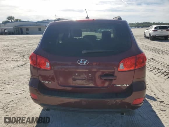 ✅ 2009 Hyundai Santa Fe GLS • VIN: 5NMSG13D29H274600 • Lot: 87192274. Listed on Copart with 159,950 mi. Free auction sales archive from the USA and detailed vehicle history report at DreamBid. Image 6.