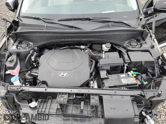 ✅ 2024 Hyundai Palisade Calligraphy • VIN: KM8R7DGE0RU657863 • Лот: 84061014. Опубликован ранее на Copart с пробегом 7 209 миль. Бесплатный доступ к архиву аукционных продаж из США и подробный отчёт об истории автомобиля на DreamBid. Изображение 12.