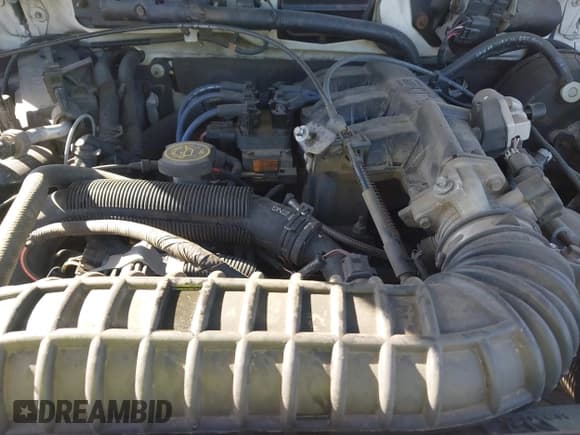 ✅ 1999 Ford Ranger XLT • VIN: 1FTZR15X3XTB03656 • Лот: 43468406. Опубликован ранее на IAAI с пробегом 146 829 миль. Бесплатный доступ к архиву аукционных продаж из США и подробный отчёт об истории автомобиля на DreamBid. Изображение 10.