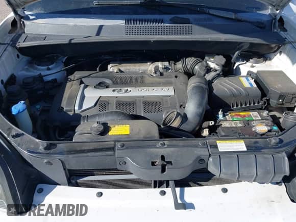 2006 Hyundai Tucson GL z VIN KM8JM72B56U324168, wystawiony jako IAAI lot #42146955 z przebiegiem 206 919 mil mil oraz . Historia ofert i sprzedaży dostępna na DreamBid. Obrazek 10.