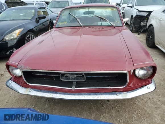✅ 1967 Ford Mustang • VIN: 7F01T121162 • Лот: 74998144. Опубликован ранее на Copart с пробегом 26 645 миль. Бесплатный доступ к архиву аукционных продаж из США и подробный отчёт об истории автомобиля на DreamBid. Изображение 5.